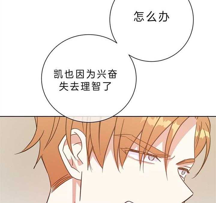 危险合作第88话图