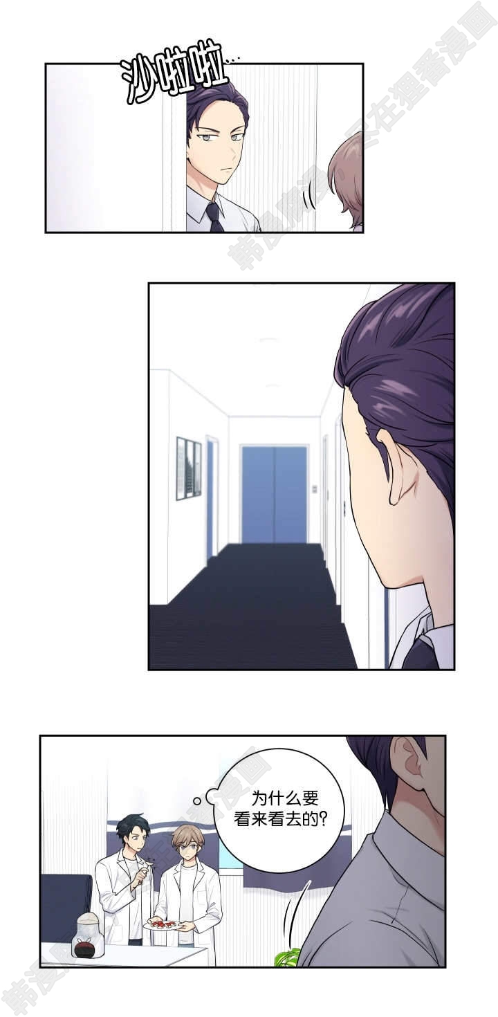 我的X报告第19话图