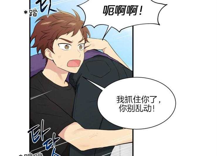 我的X报告第62话图