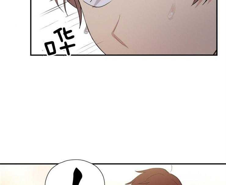 我的X报告第77话图