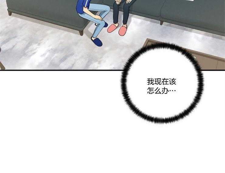 我的X报告第77话图