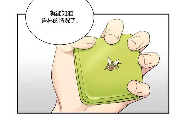 我的X报告第78话图