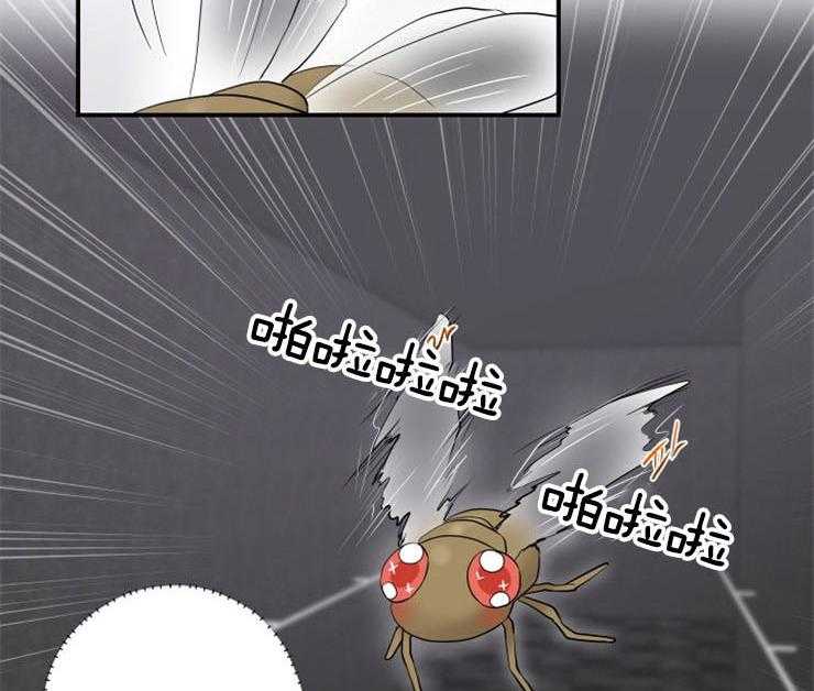 我的X报告第79话图