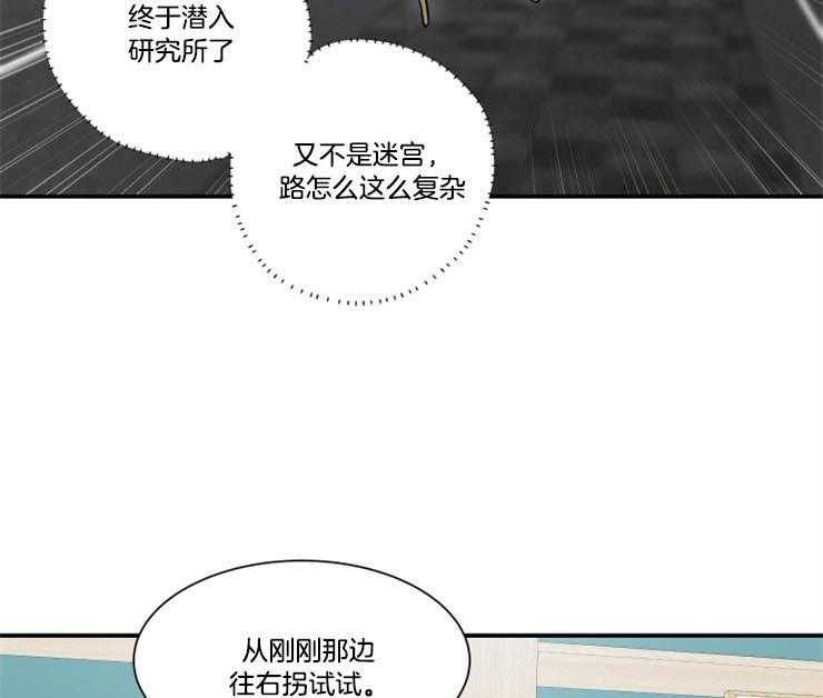 我的X报告第79话图