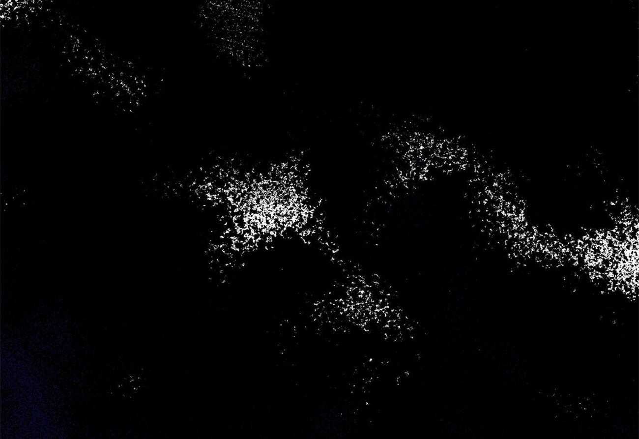 我非樵夫 第55话 第48页