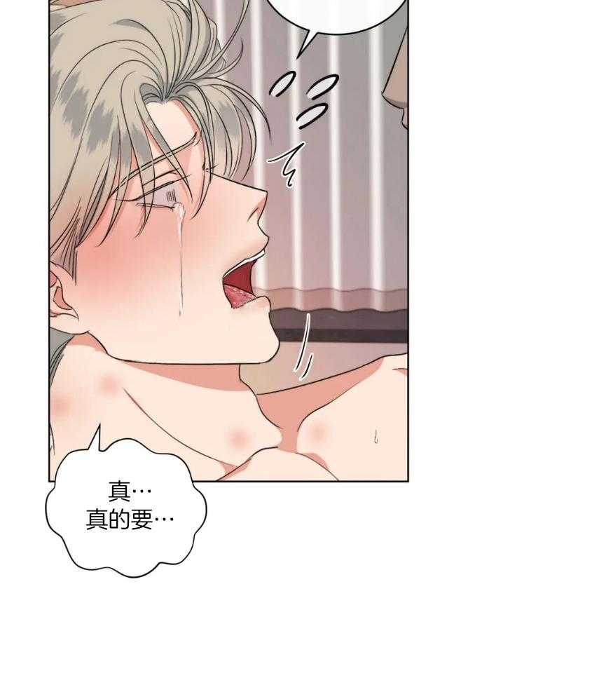 我的上司他肆意妄为第27话图