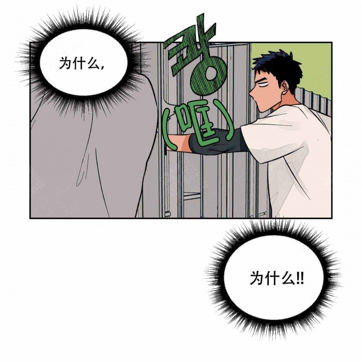 我的医生第13话图