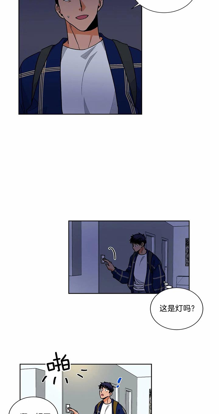 我的医生第66话图