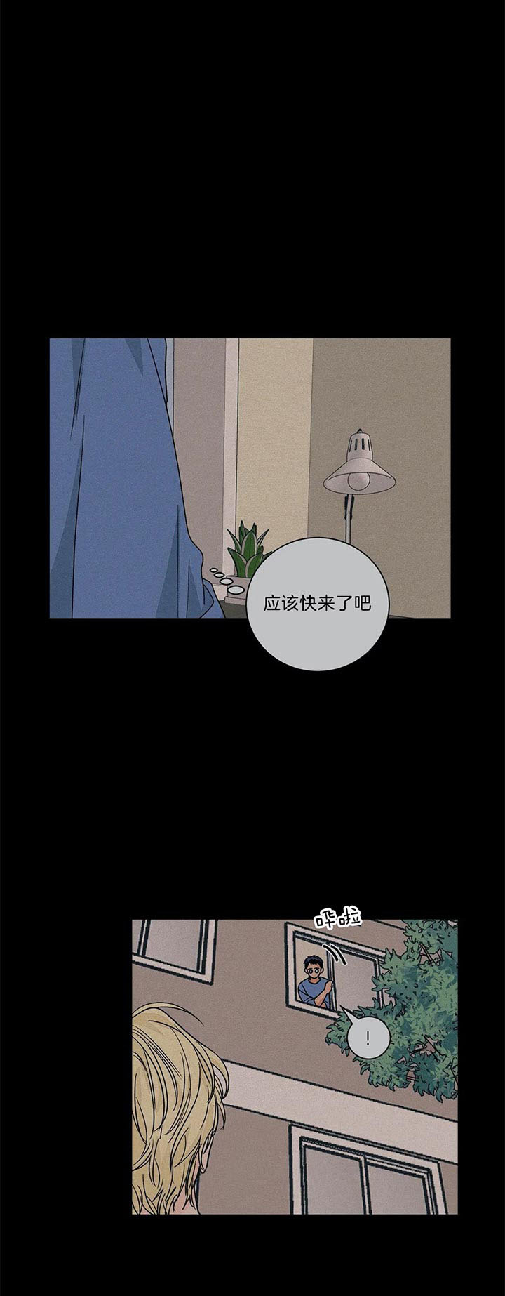 我的医生第67话图