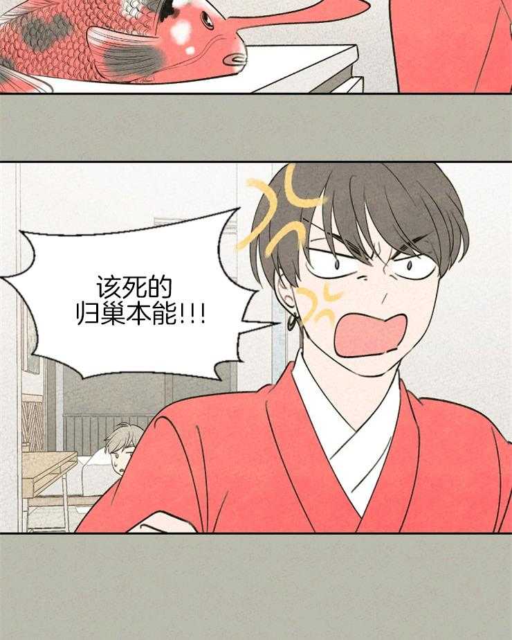 午夜共生第60话图