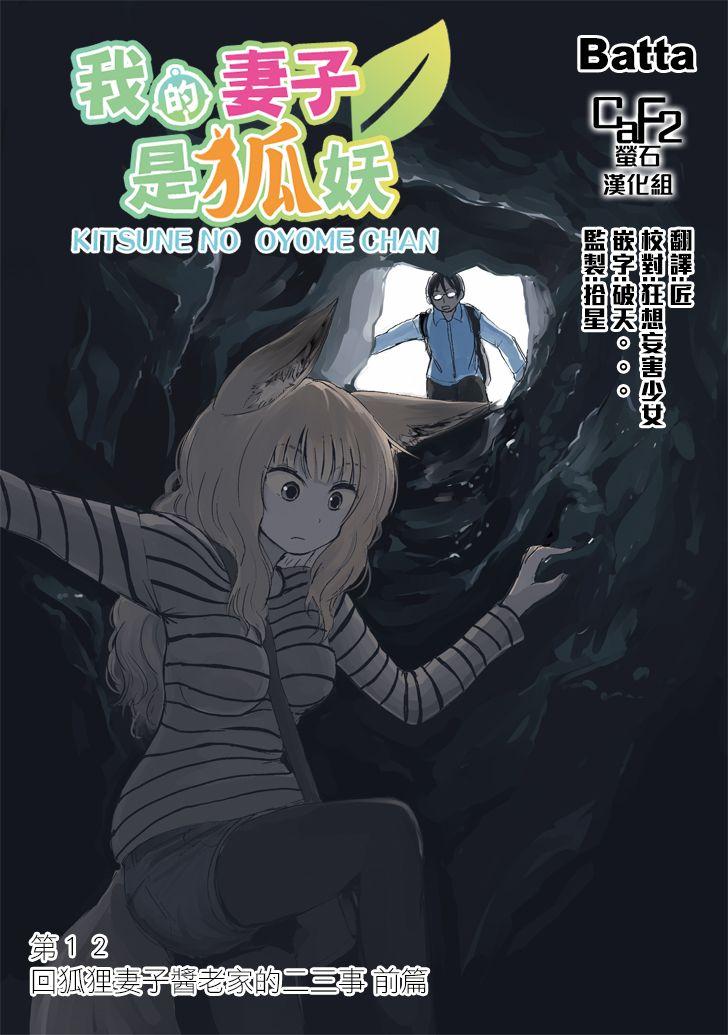 我的妻子是狐妖12话图