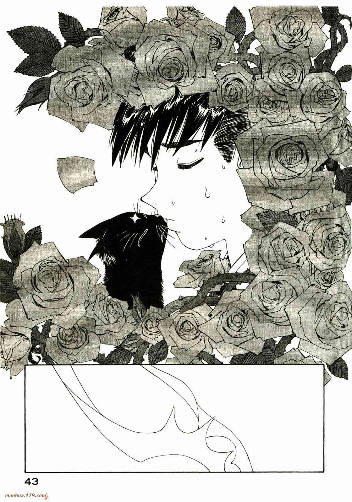 我的女神 27卷 第45页