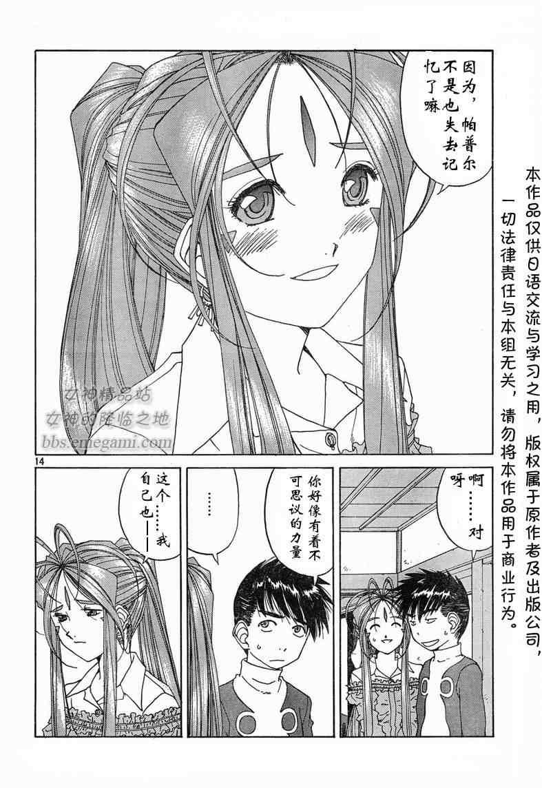 我的女神 227话 第13页