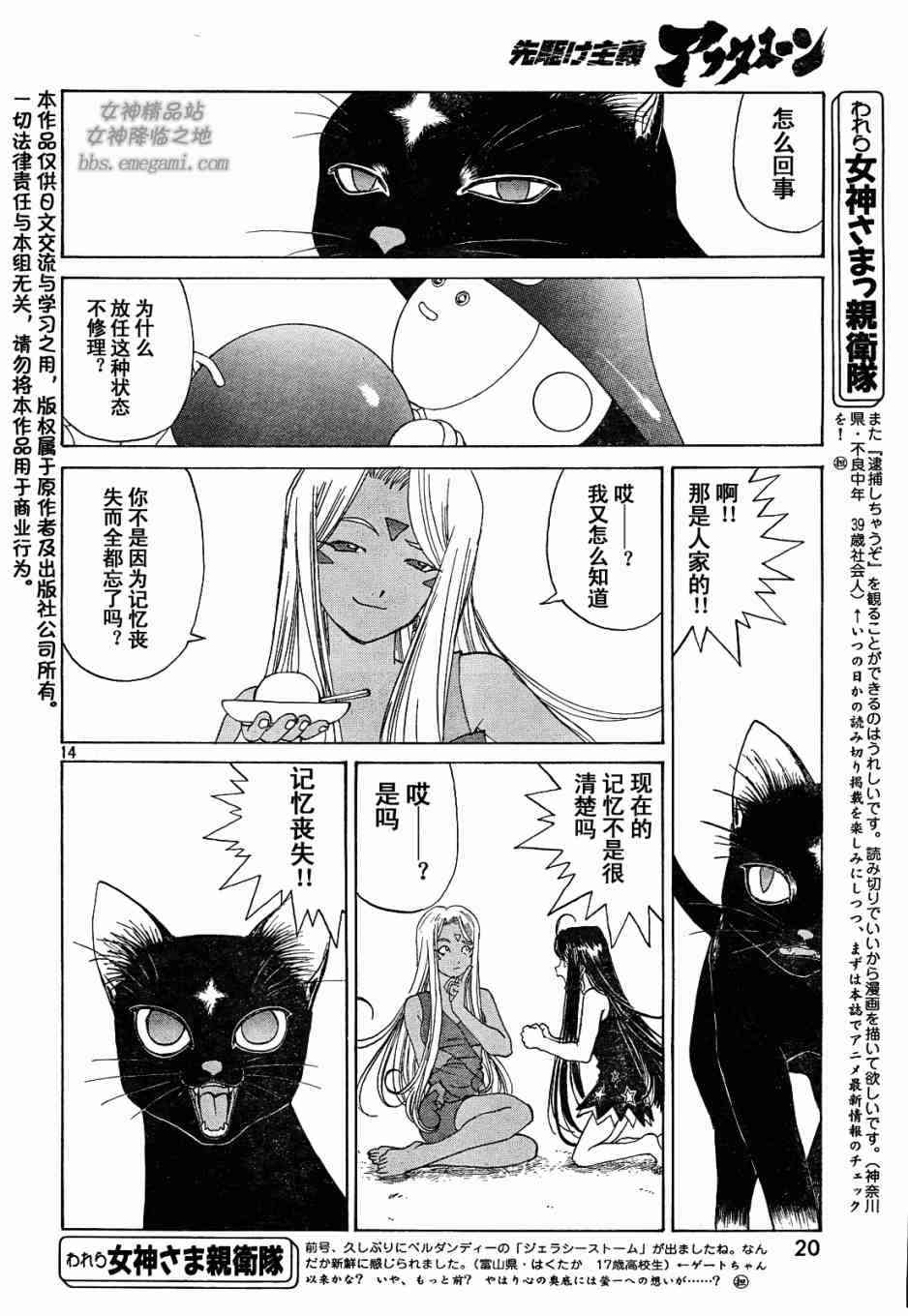 我的女神 228话 第13页