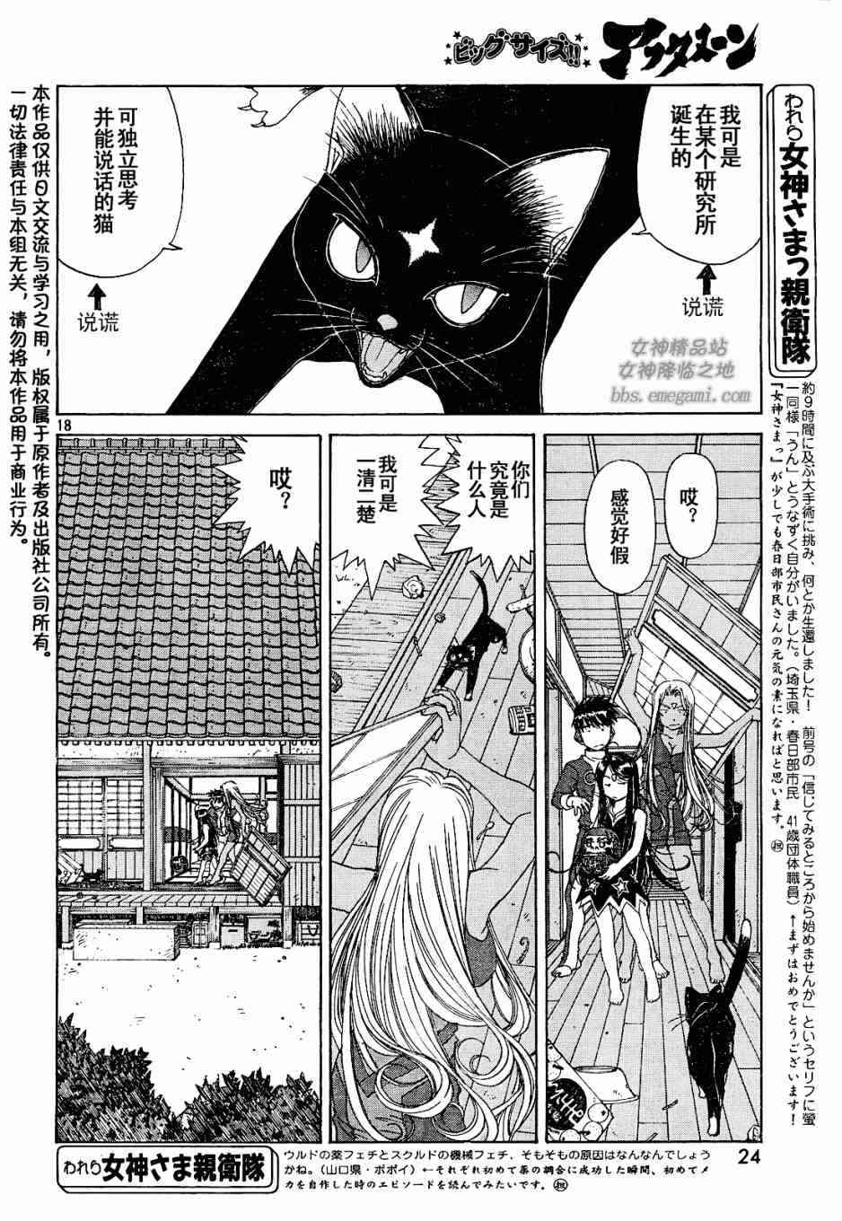 我的女神 228话 第17页