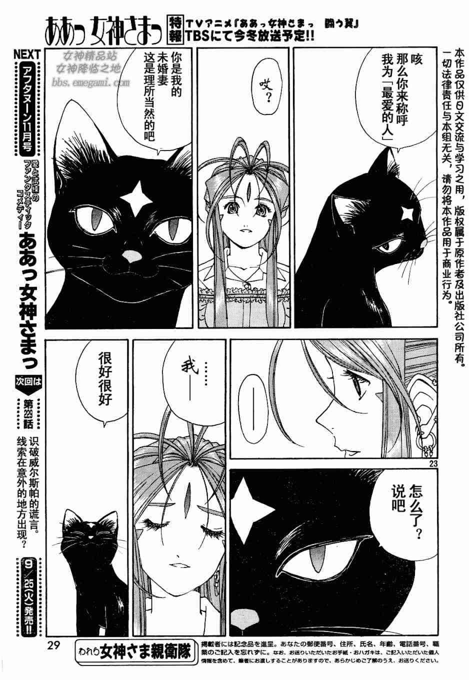 我的女神 228话 第22页