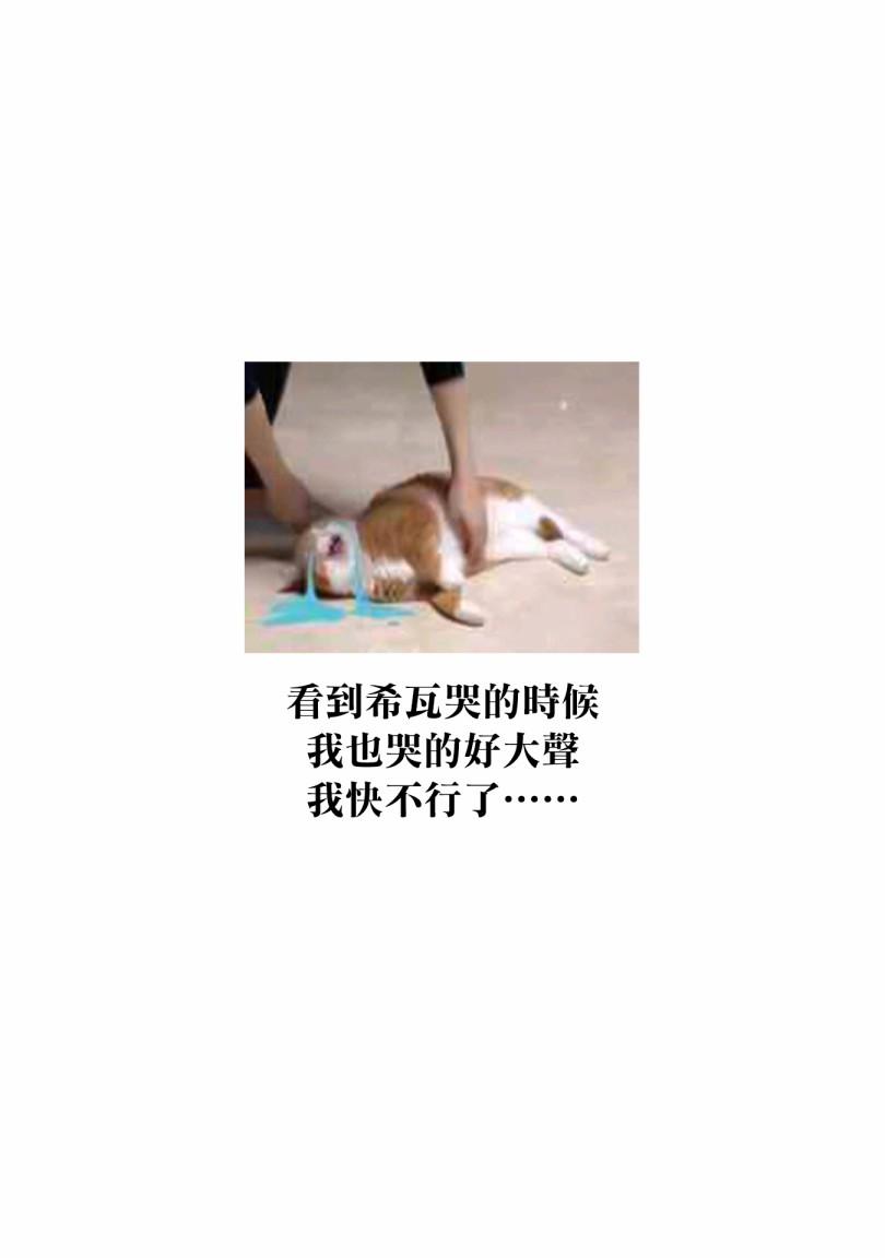 外之国的少女39话图