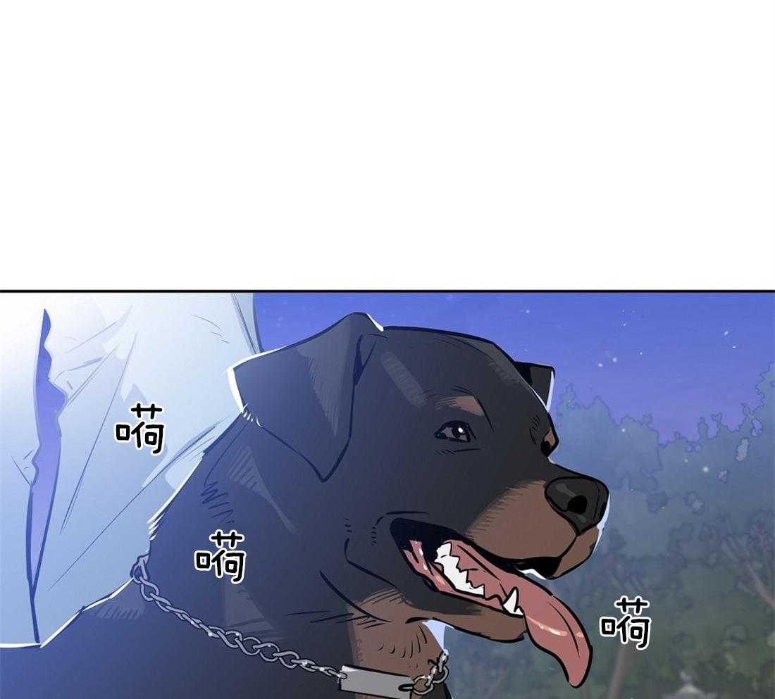 吻我骗子第19话图