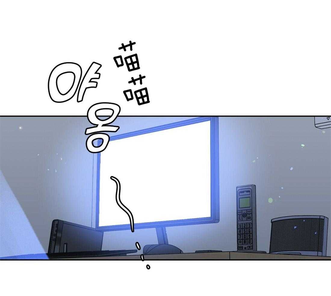 吻我骗子第77话图