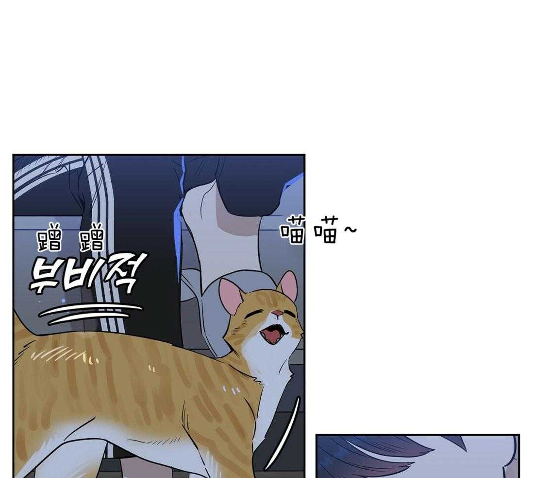 吻我骗子第77话图