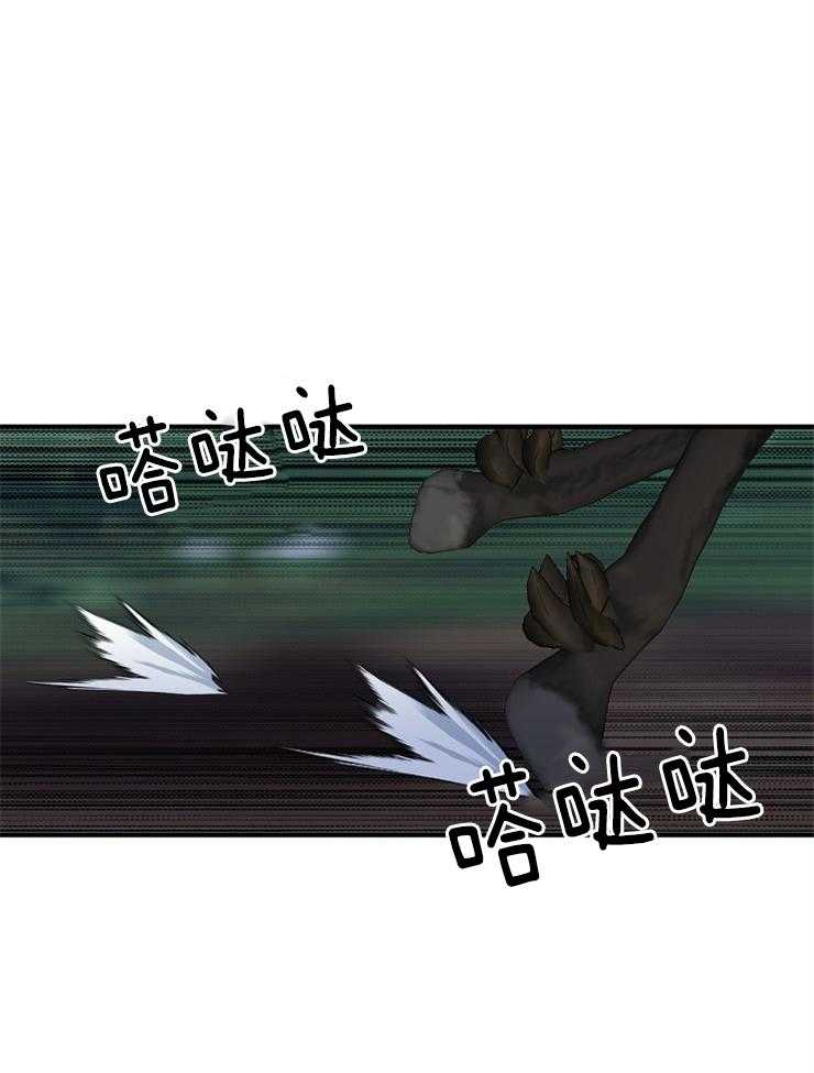 王的土豆第12话图