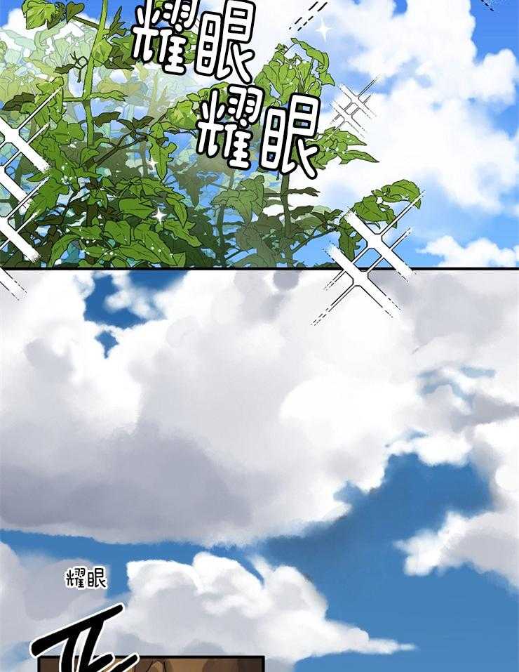 王的土豆第4话图