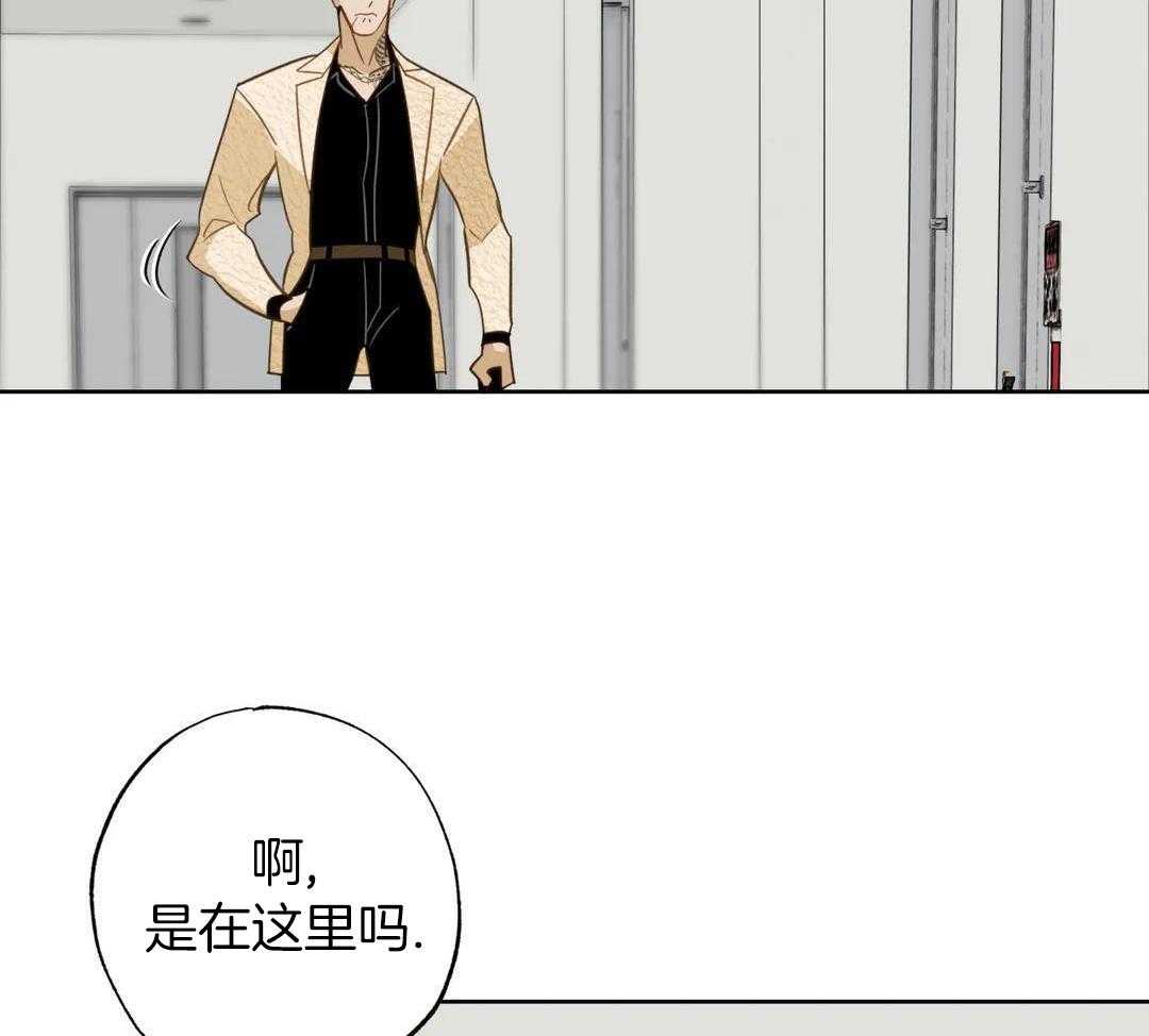 我真不是开黑店的第5话图