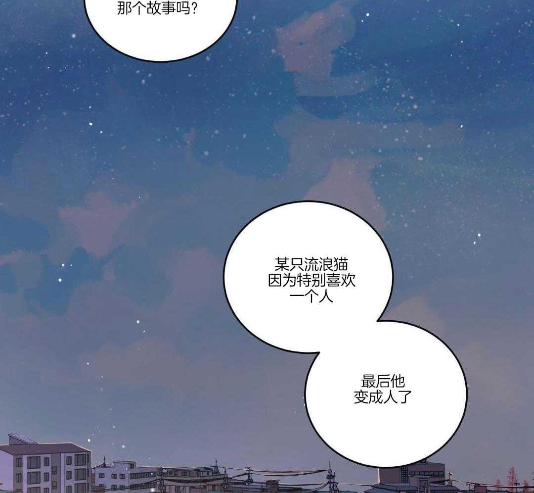 我的猫（共2季）第1话图