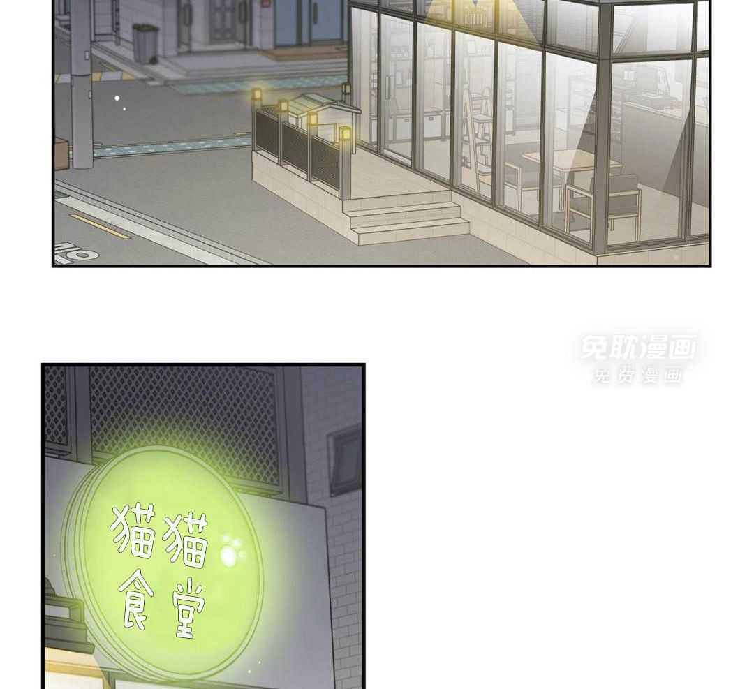 我的猫（共2季）第10话图