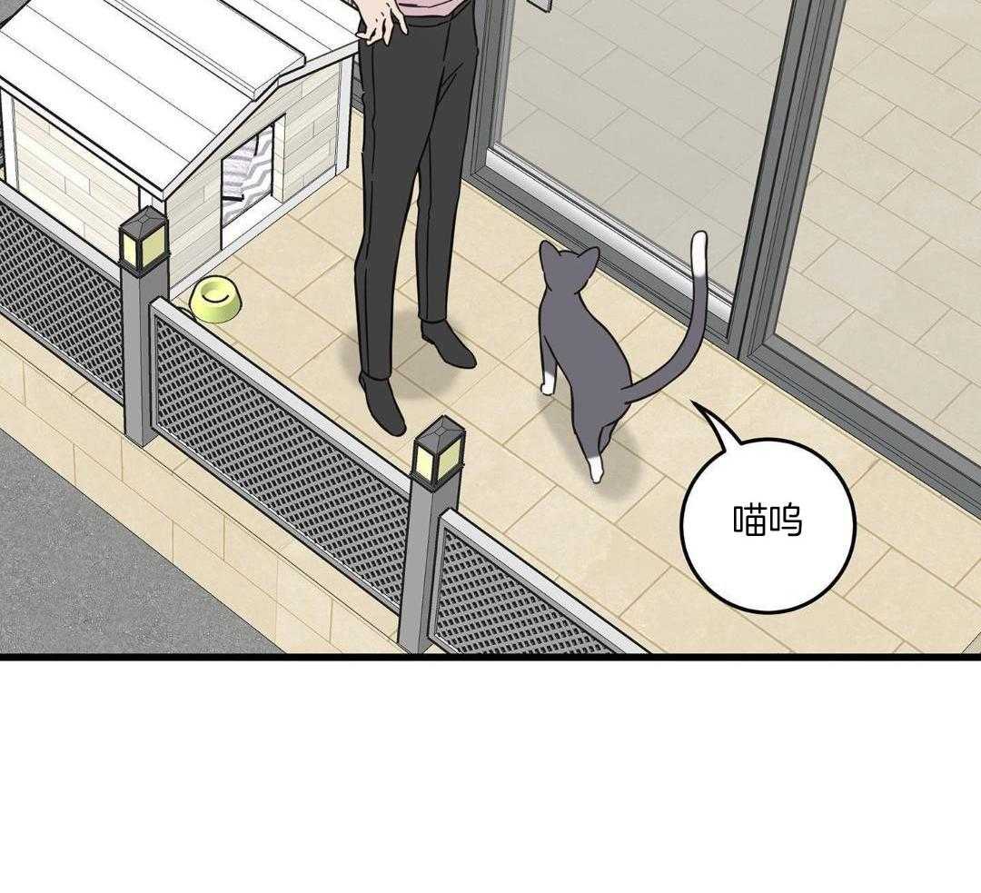 我的猫（共2季）第103话图