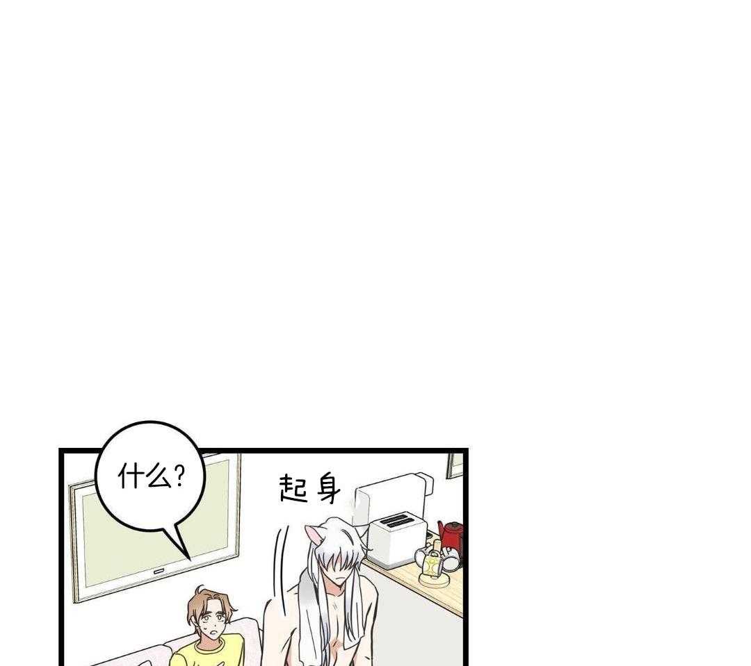 我的猫（共2季）第104话图