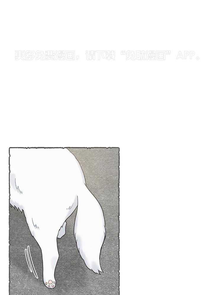 我的猫（共2季）第113话图