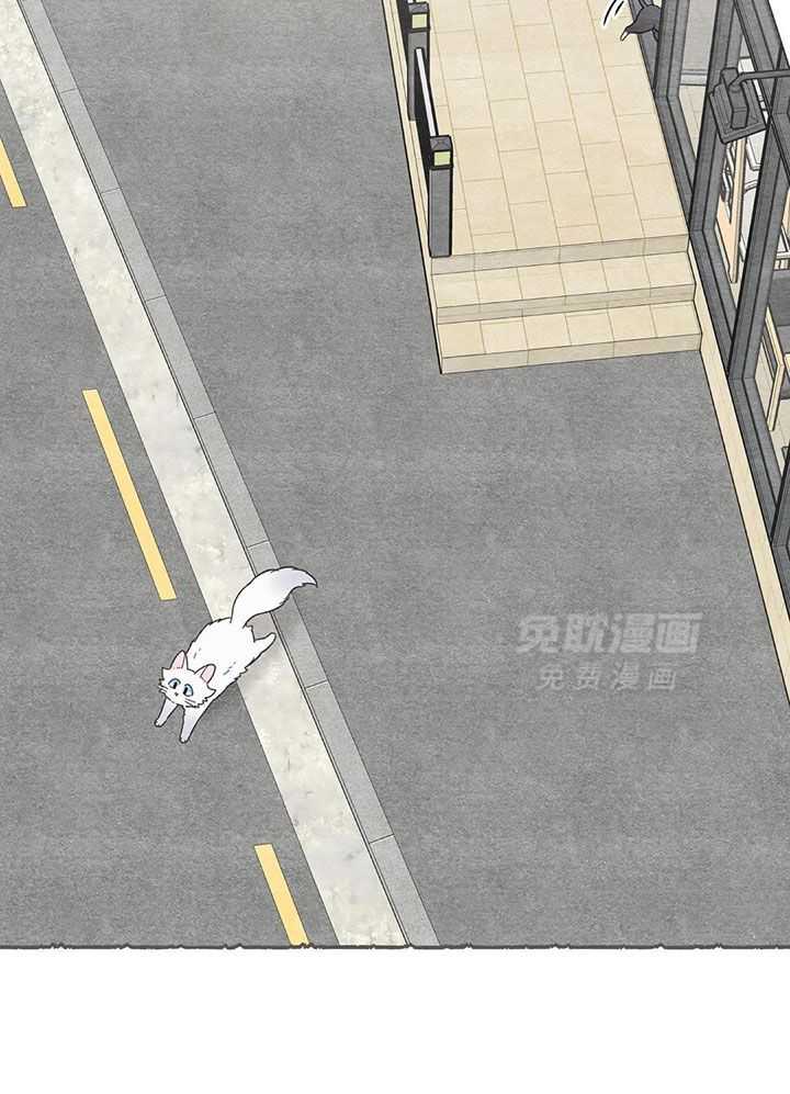 我的猫（共2季）第113话图