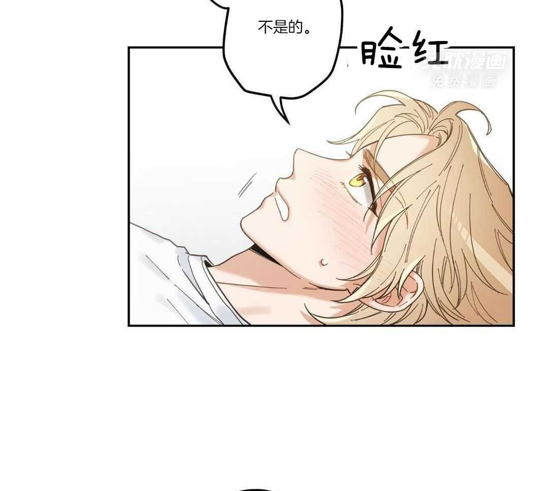 我的猫（共2季）第12话图