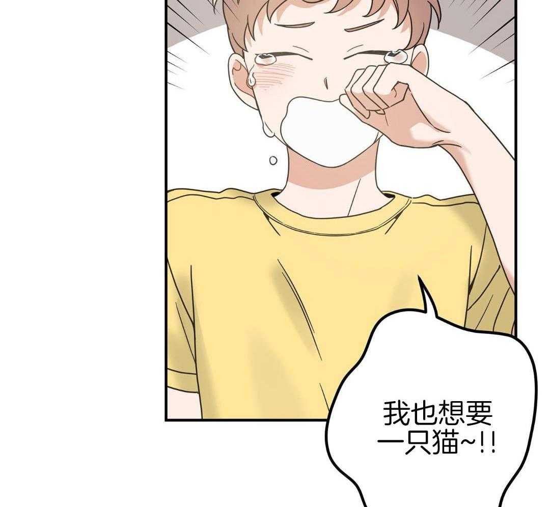 我的猫（共2季）第124话图