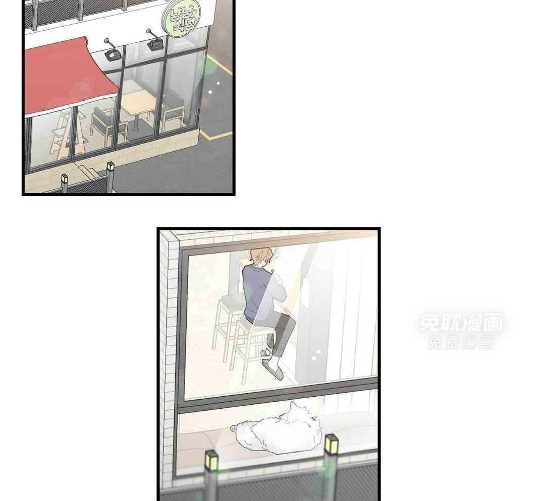 我的猫（共2季）第14话图