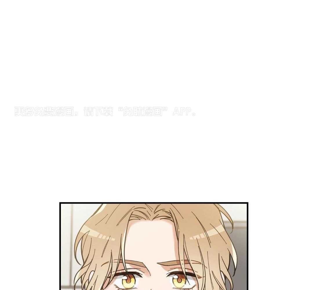 我的猫（共2季）第16话图