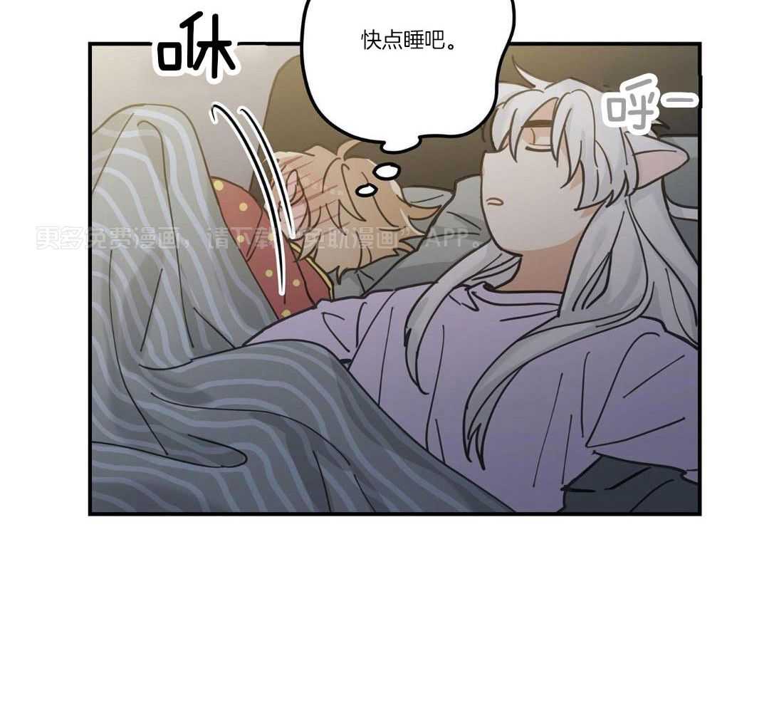我的猫（共2季）第16话图