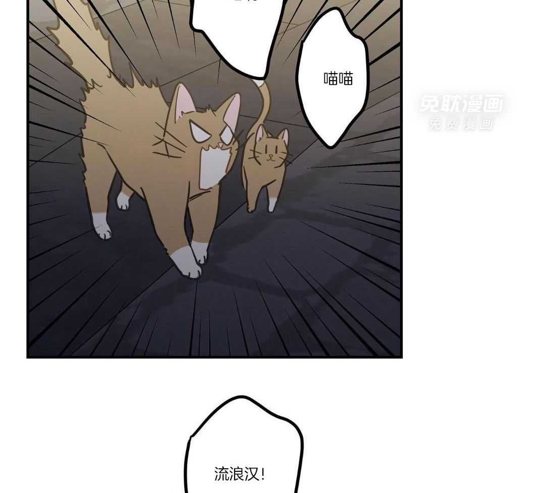 我的猫（共2季）第21话图