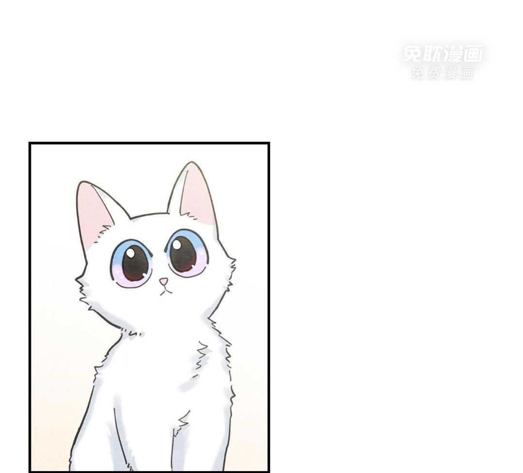 我的猫（共2季）第23话图