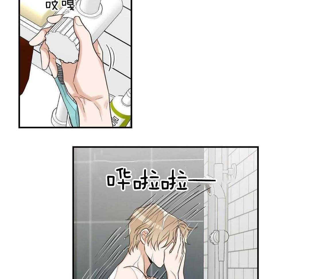 我的猫（共2季）第29话图