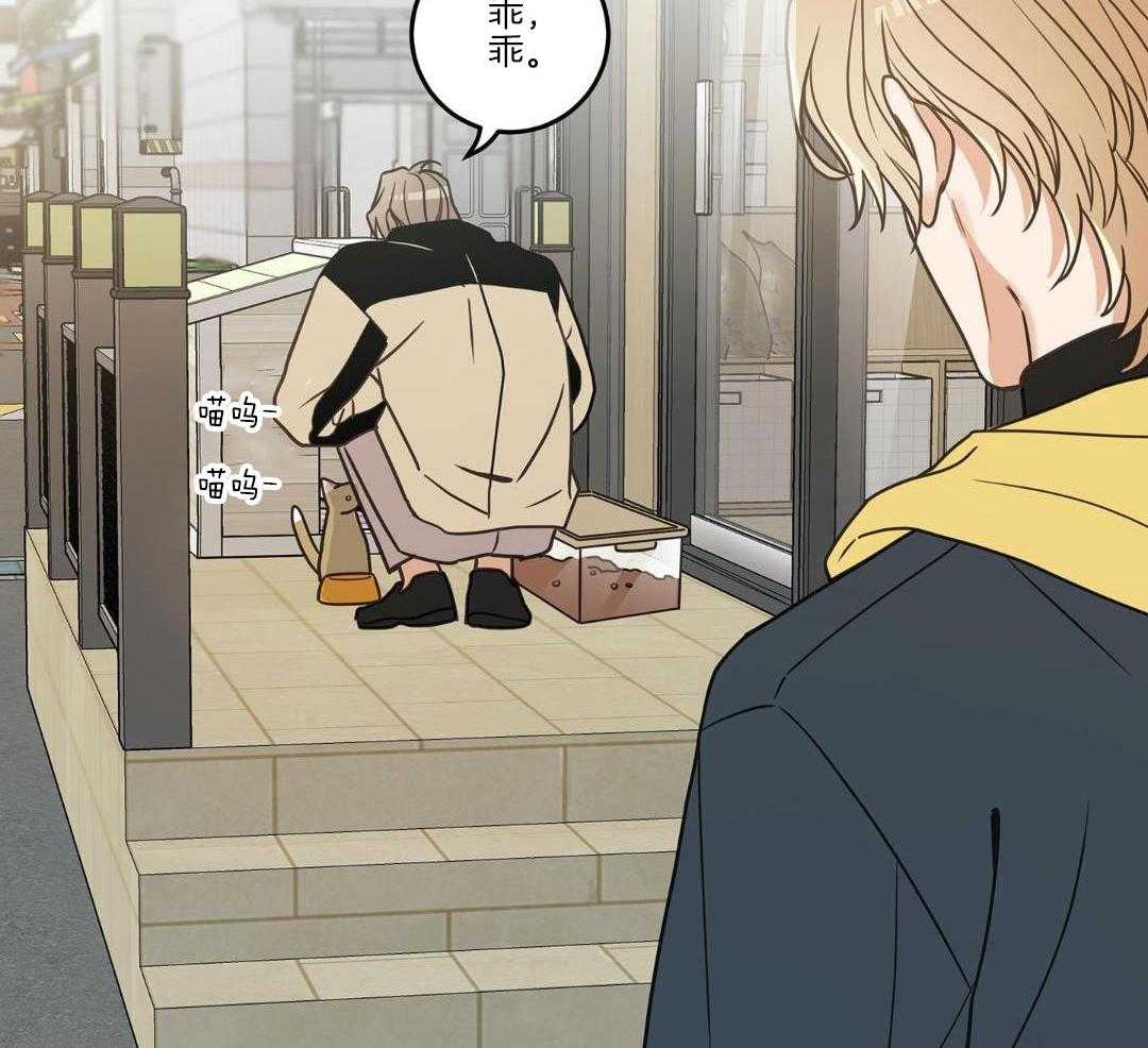 我的猫（共2季）第30话图