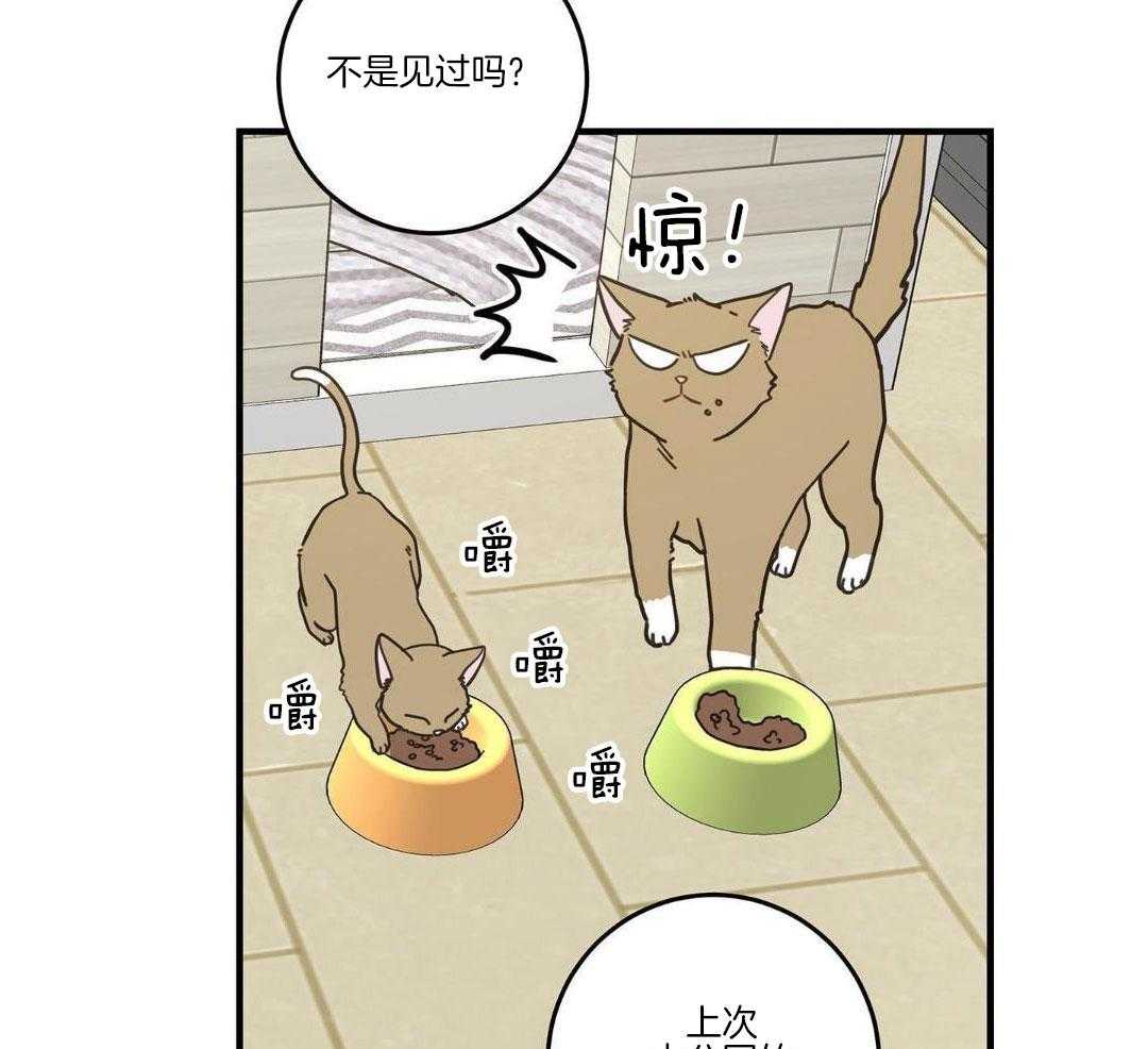 我的猫（共2季）第30话图