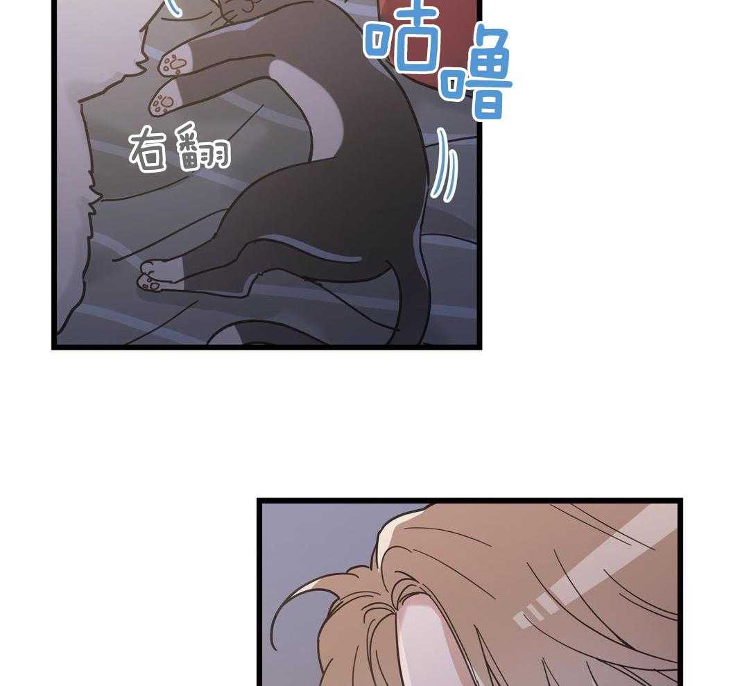 我的猫（共2季）第49话图