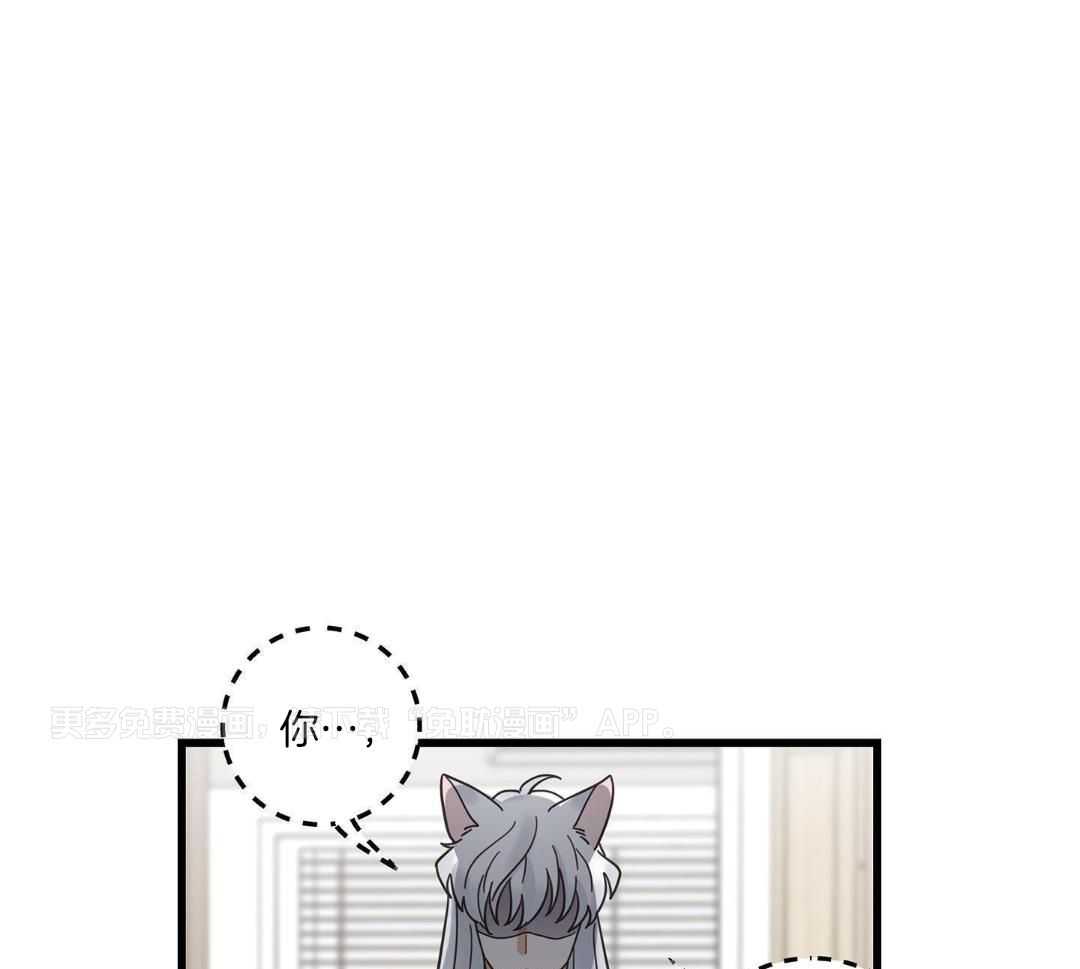 我的猫（共2季）第51话图