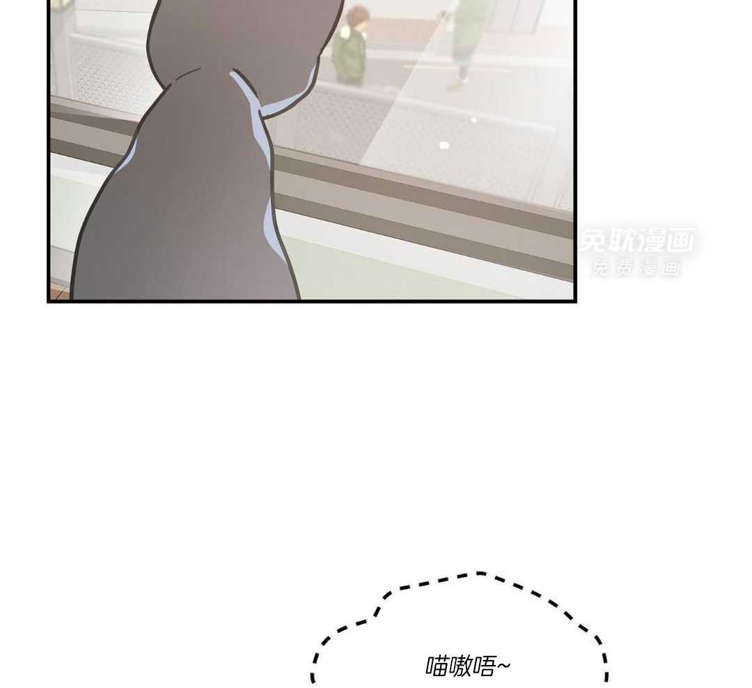 我的猫（共2季）第55话图