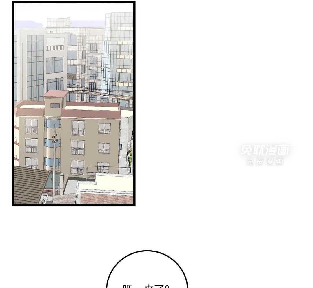 我的猫（共2季）第79话图