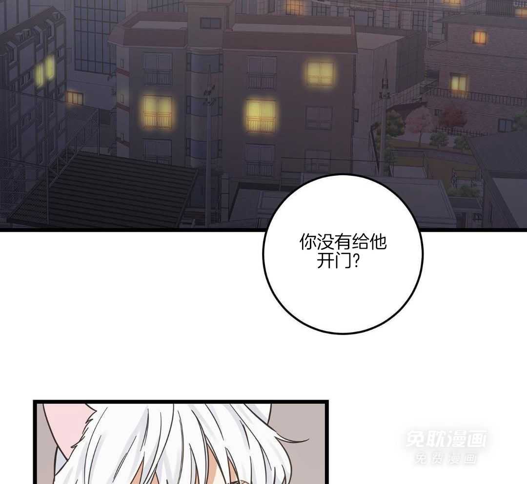 我的猫（共2季）第80话图