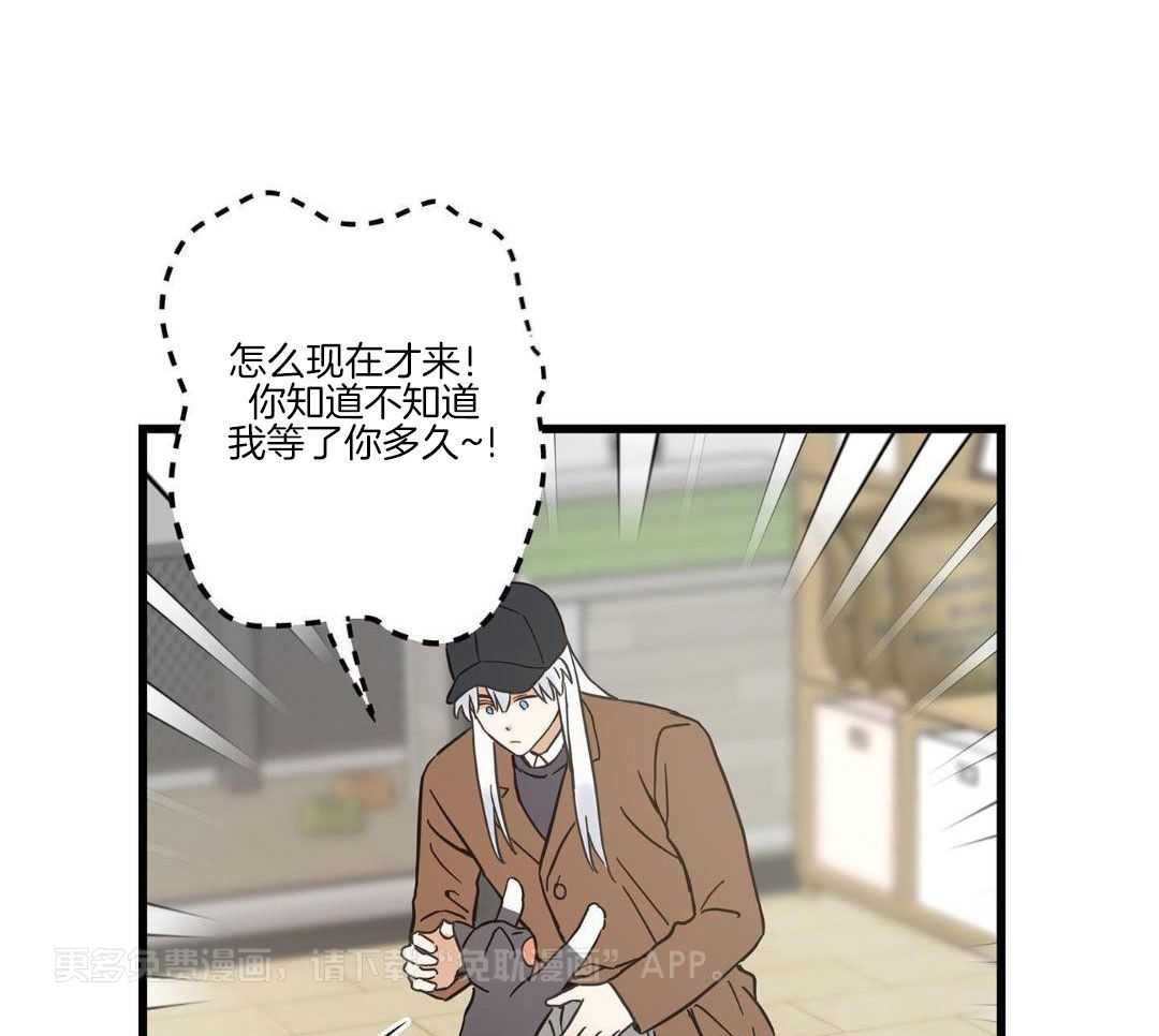 我的猫（共2季）第86话图