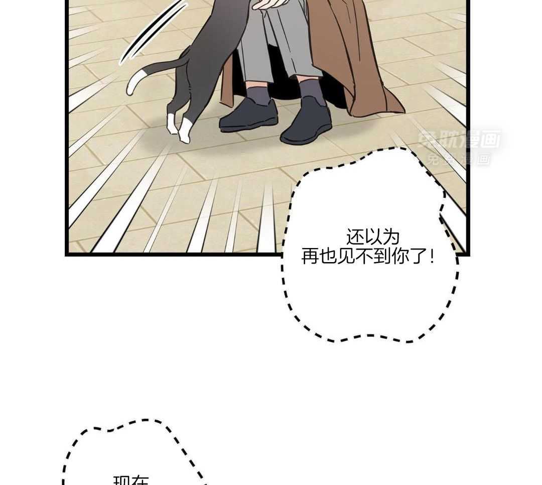 我的猫（共2季）第86话图